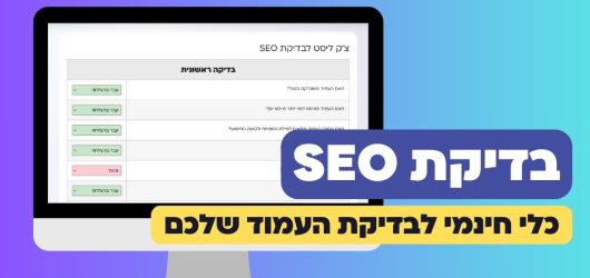 בדיקת SEO