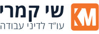 שי קמרי