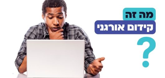 מה זה קידום אורגני